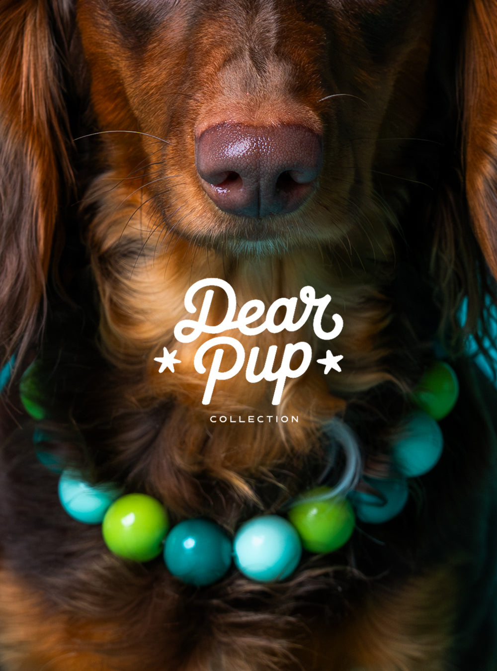 Custom Beaded Dog Collar with Crystal & Name Charm