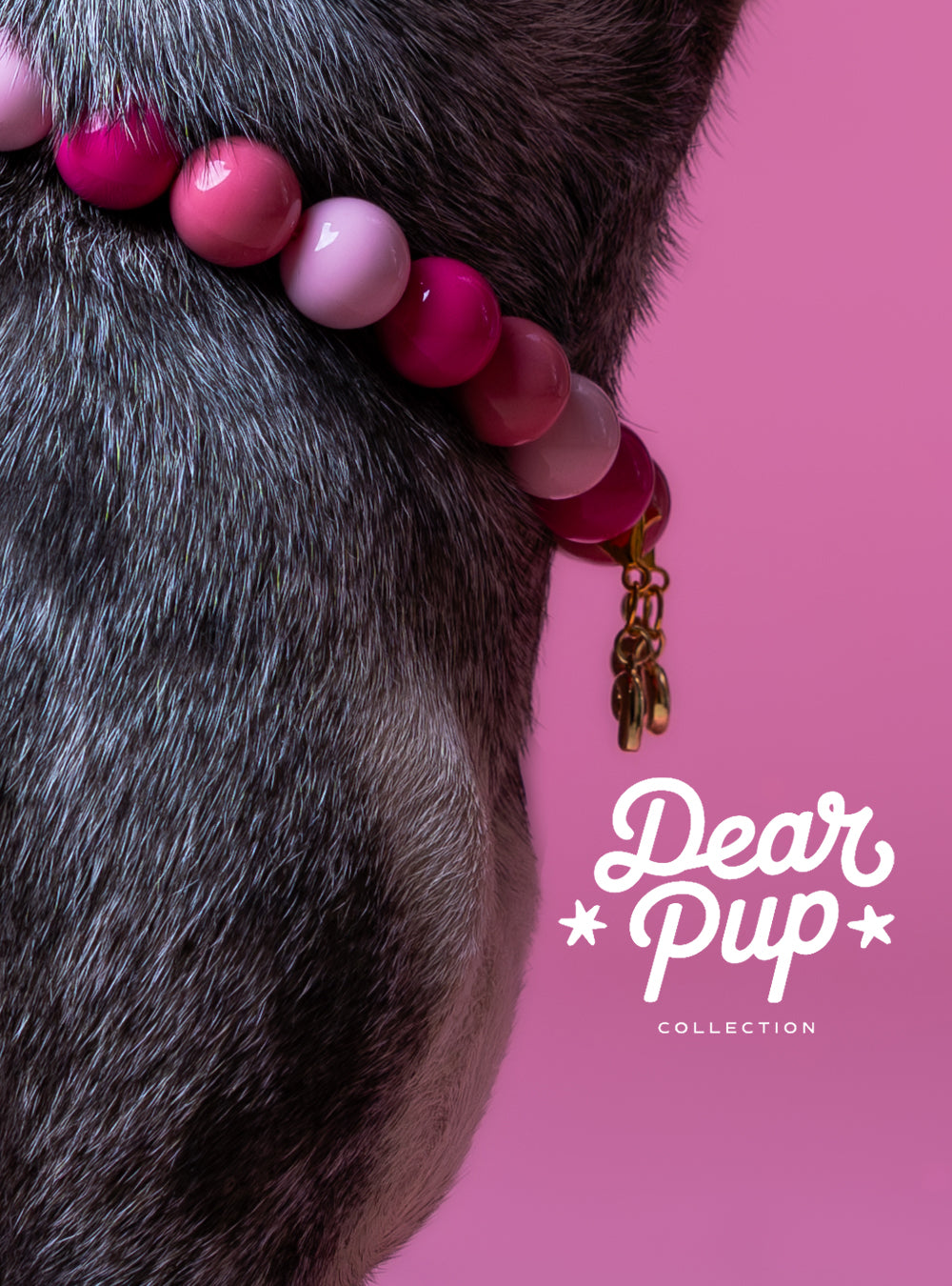 Custom Beaded Dog Collar with Crystal & Name Charm