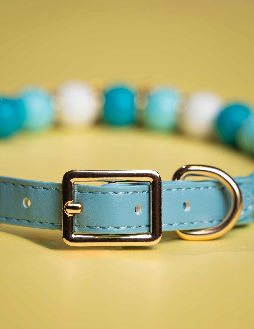 Custom Beaded Dog Collar with Crystal & Name Charm