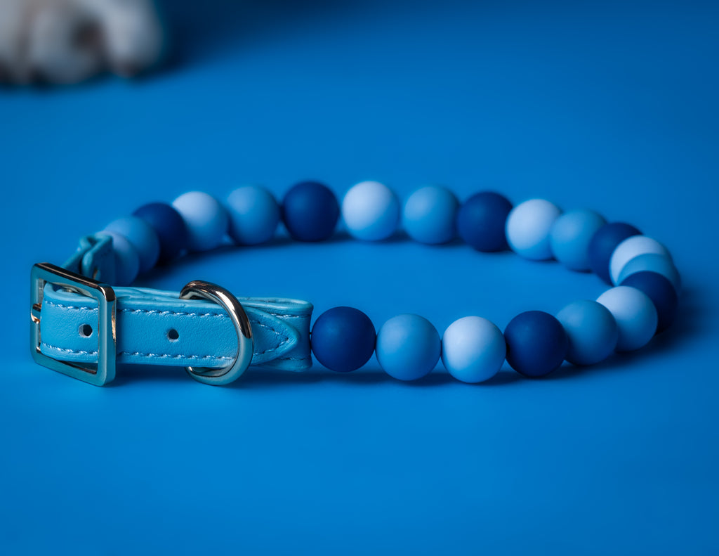 Custom Beaded Dog Collar with Crystal & Name Charm