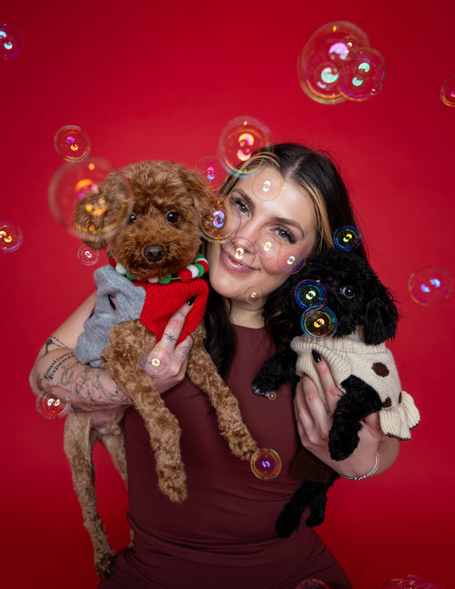 Woof Star Home Premiere