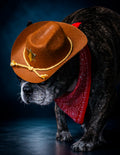 HOWL-O-WEEN