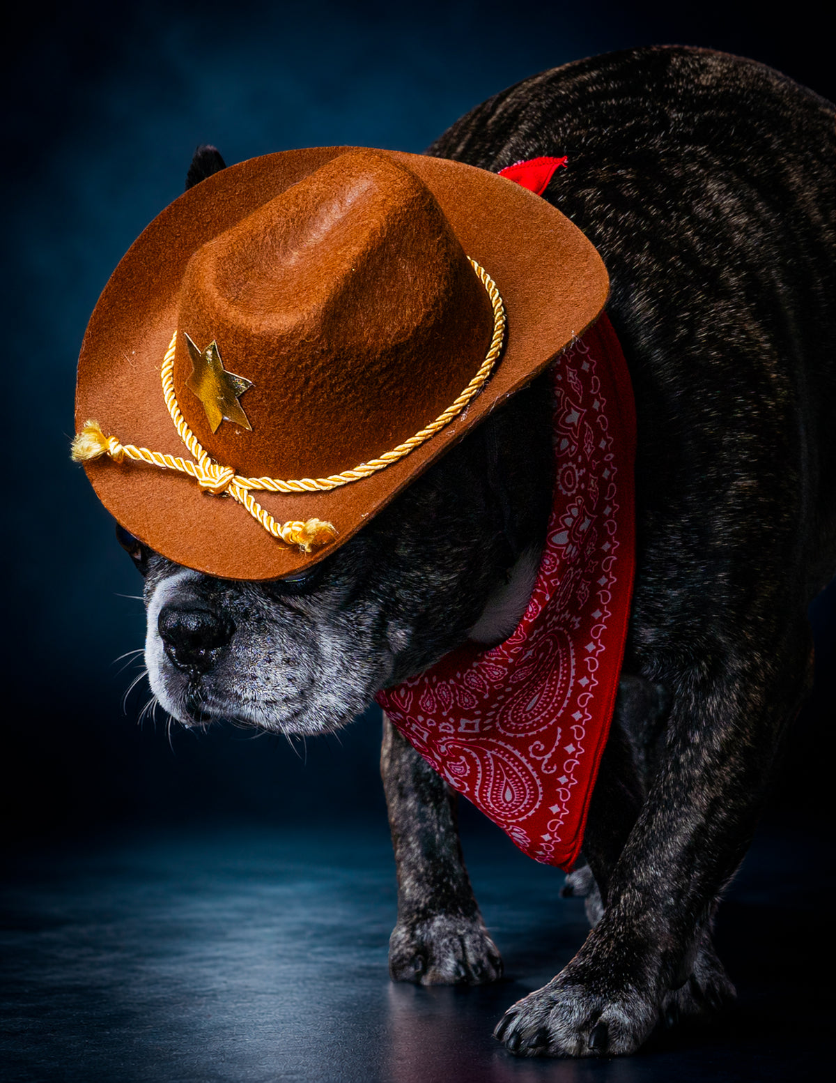 HOWL-O-WEEN