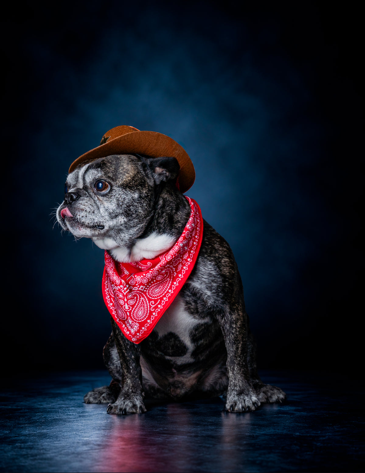 HOWL-O-WEEN