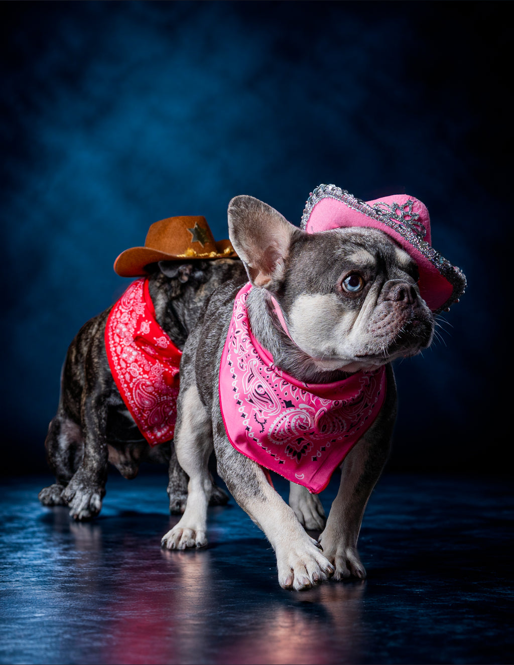 HOWL-O-WEEN