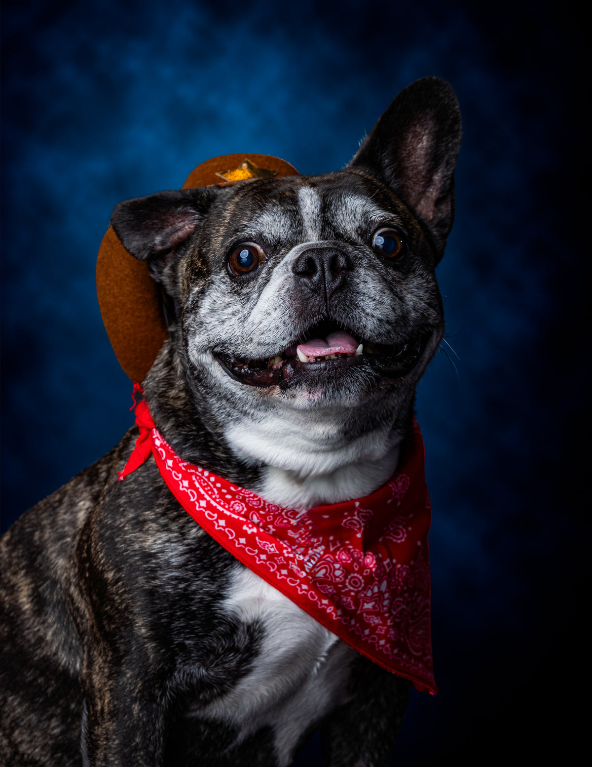 HOWL-O-WEEN
