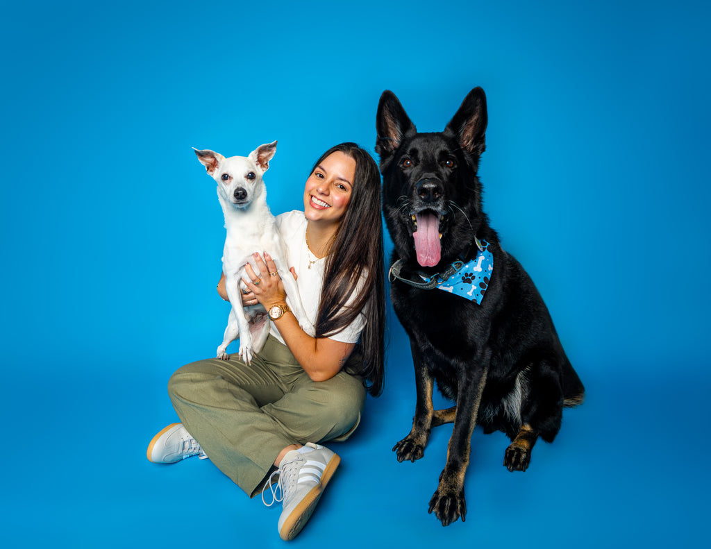 Woof Star Home Premiere