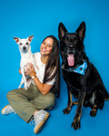 Woof Star Home Premiere