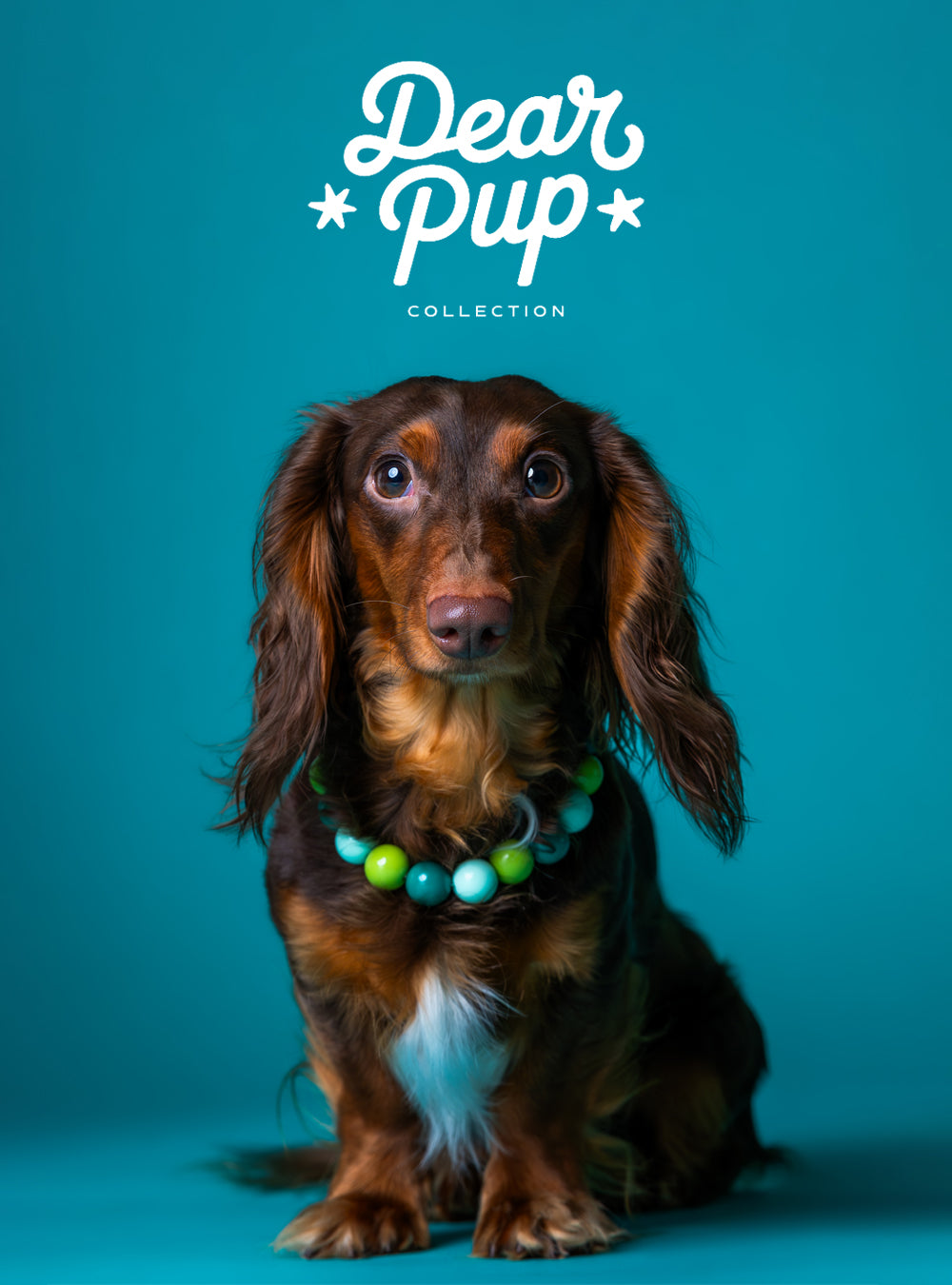 Collar personalizado para perros con abalorios, cristales y dije con nombre